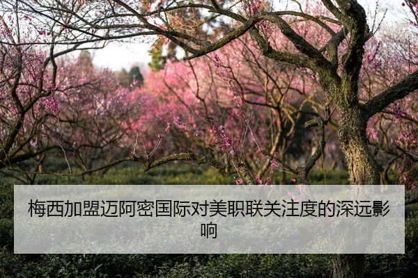 梅西加盟迈阿密国际对美职联关注度的深远影响